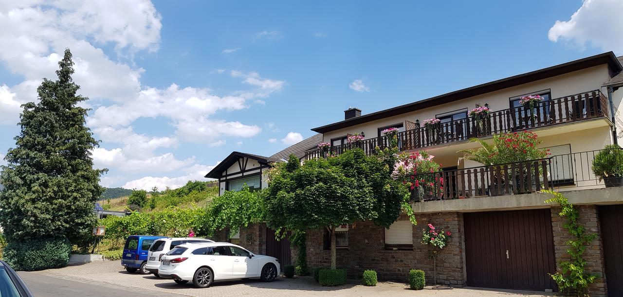 Weingut Erich Serwazi Mesenich Exteriér fotografie